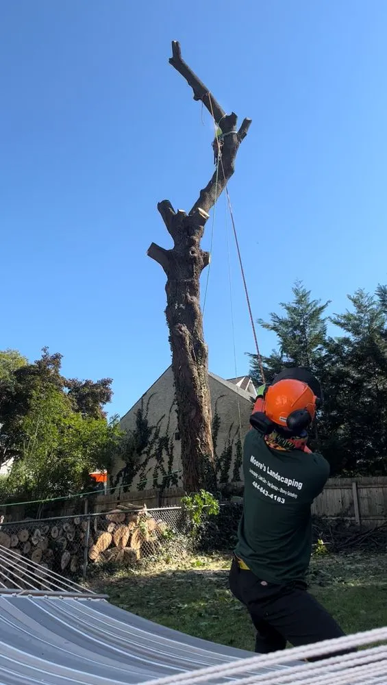 Custom lawn mowing service experts serving Havertown, PA - Moore's Landscaping and Tree Service