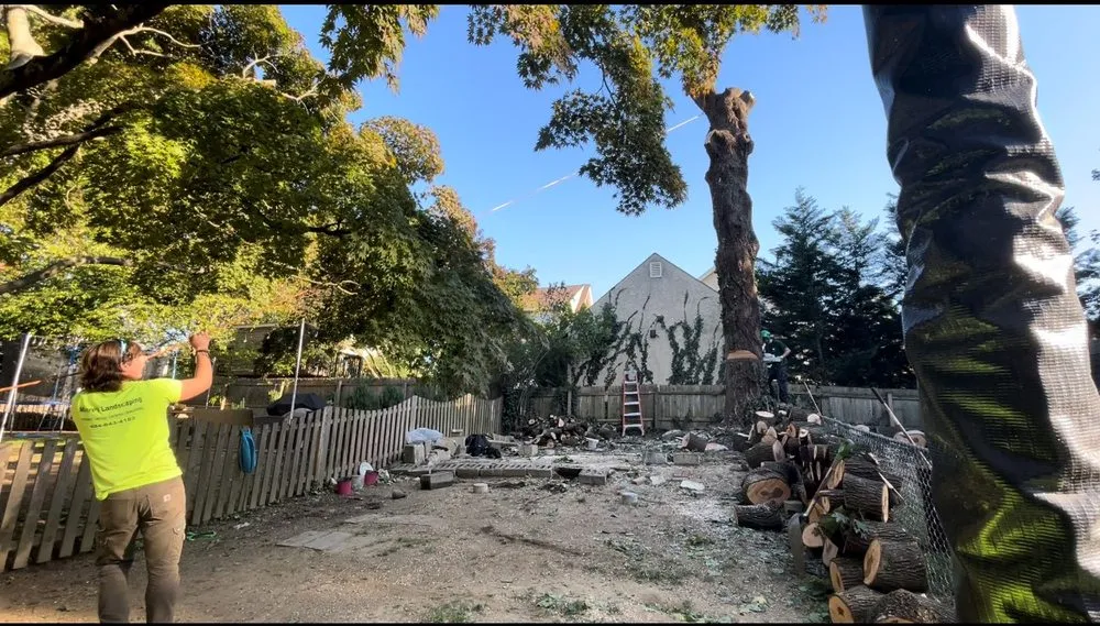 Expert lawn mowing service for outdoor upgrades across Havertown, PA - Moore's Landscaping and Tree Service