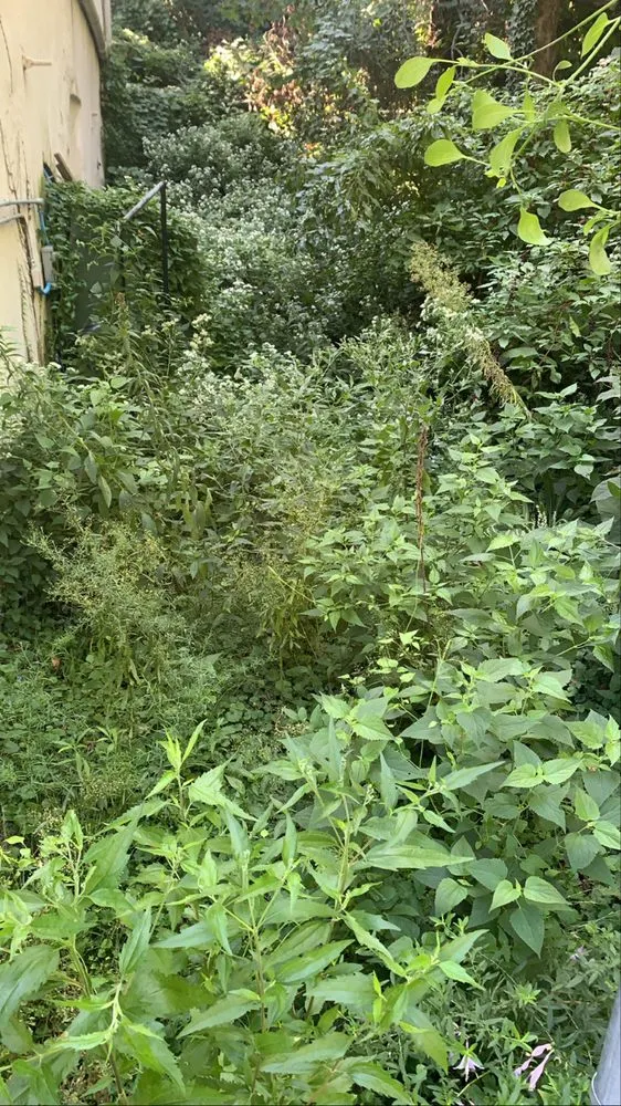 Trusted landscape design with custom design in Philadelphia, PA by Moore’s Landscaping