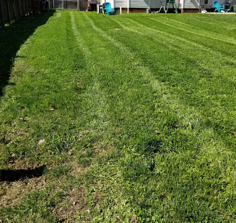 Top-rated landscape installation for residential properties across Monroe, NC - Moore's Lawn Care