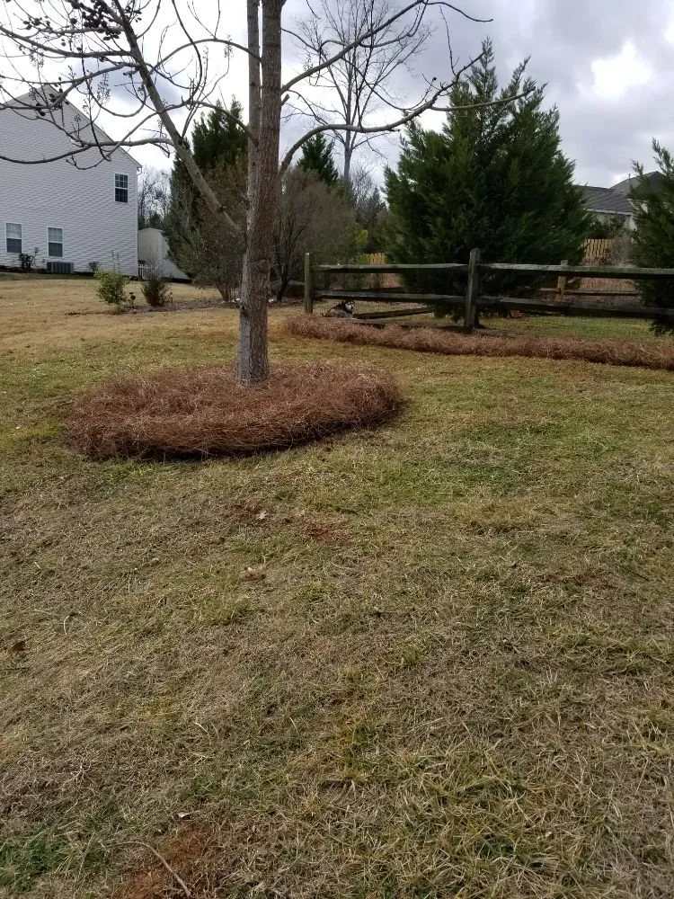 Expert garden landscaping in Monroe, NC - Moore's Lawn Care