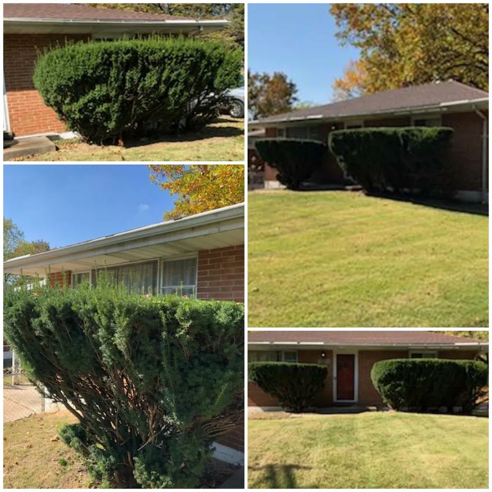 Expert landscaping services in St. Louis, MO - Moore's Lawn Care