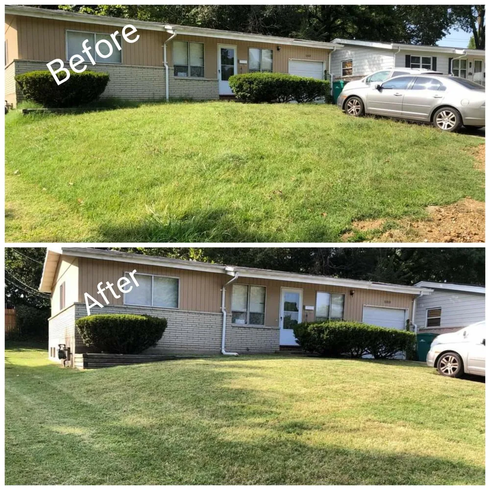 Custom yard maintenance in St. Louis, MO - Moore's Lawn Care