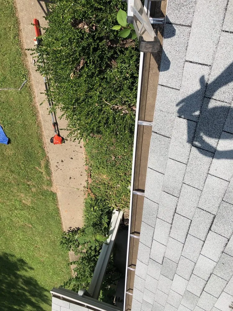 Professional yard cleanup service experts serving St. Louis, MO - Moore's Lawn Care