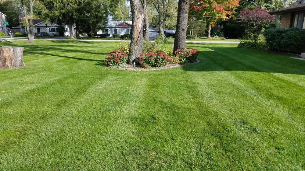 Top-rated lawn care service in Lombard, IL by Moore's Lawn Maintenance