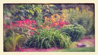 Local yard cleanup service in Lombard, IL by Moore's Lawn Maintenance