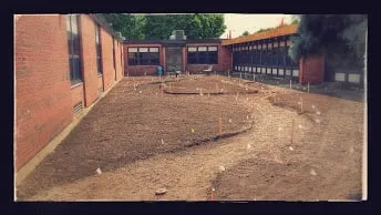 Expert yard maintenance in Lombard, IL - Moore's Lawn Maintenance