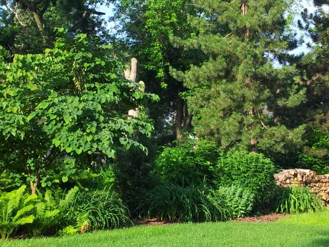 Trusted residential landscaping in Lombard, IL by Moore's Lawn Maintenance