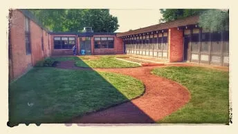 Local yard cleanup service in Lombard, IL by Moore's Lawn Maintenance