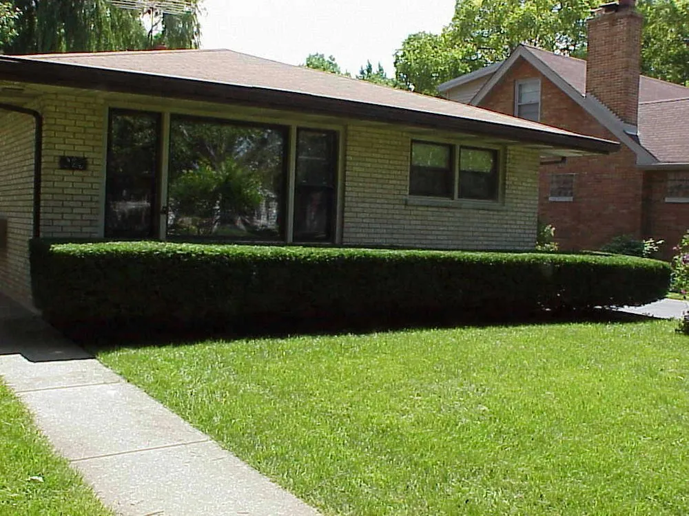 Professional outdoor landscaping in Lombard, IL - Moore's Lawn Maintenance