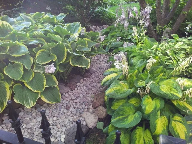 Professional yard maintenance experts serving Lombard, IL - Moore's Lawn Maintenance