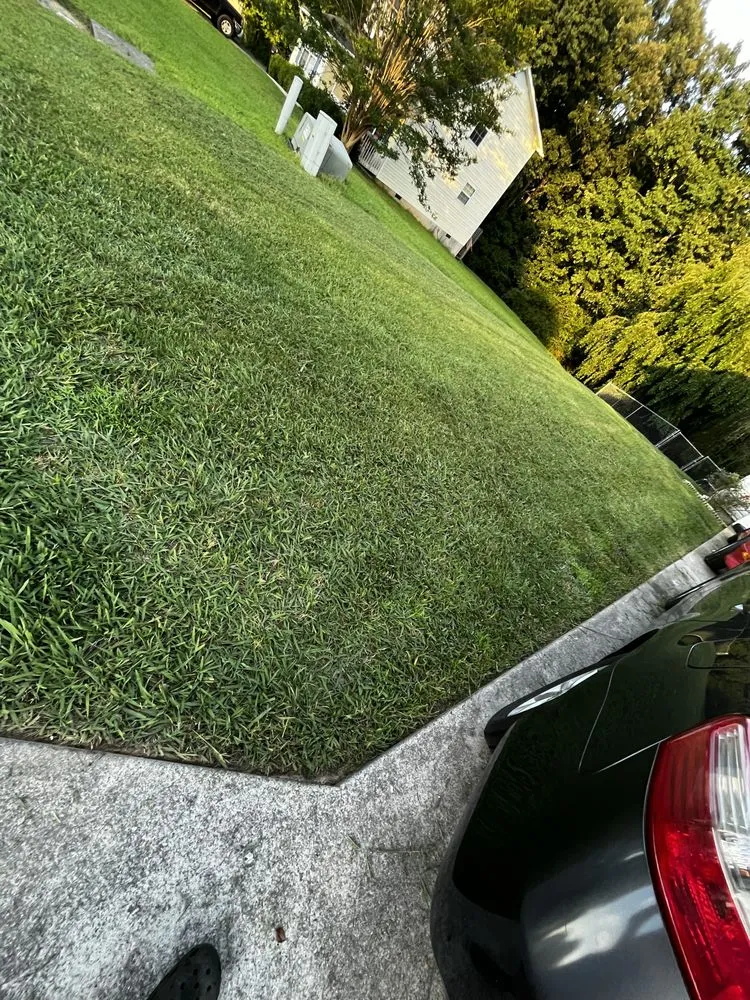 Professional yard maintenance for year-round maintenance in Cleveland, TN by Moore's Lawn Service