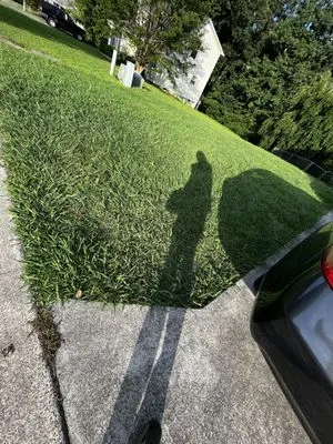 Moore's Lawn Service Logo