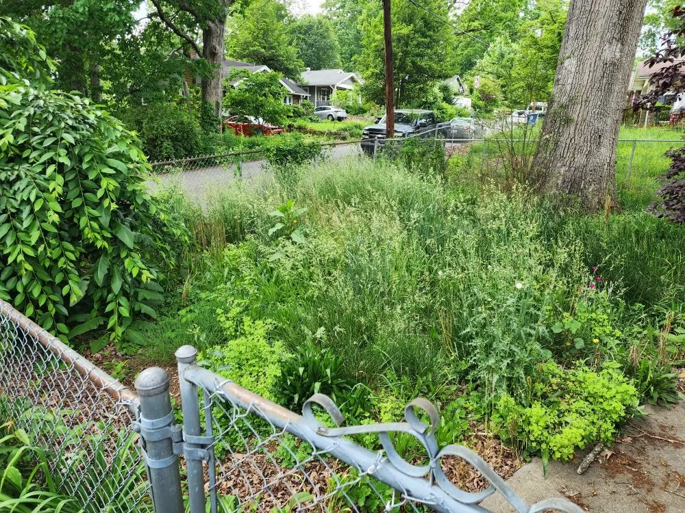 Professional yard maintenance for homes in Leicester, NC by Moore's Lawncare and Services
