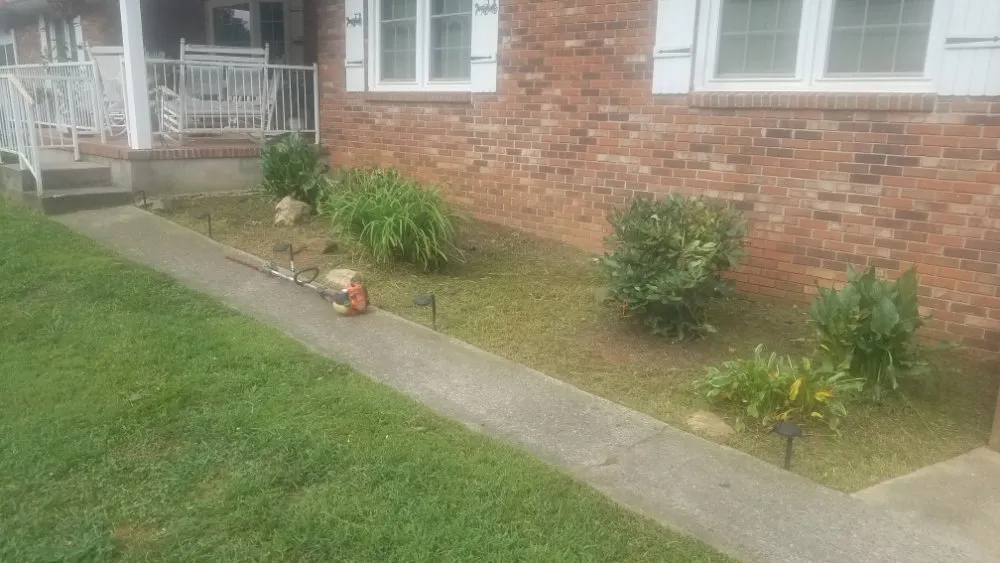 Top-rated residential landscaping experts serving Leicester, NC - Moore's Lawncare and Services