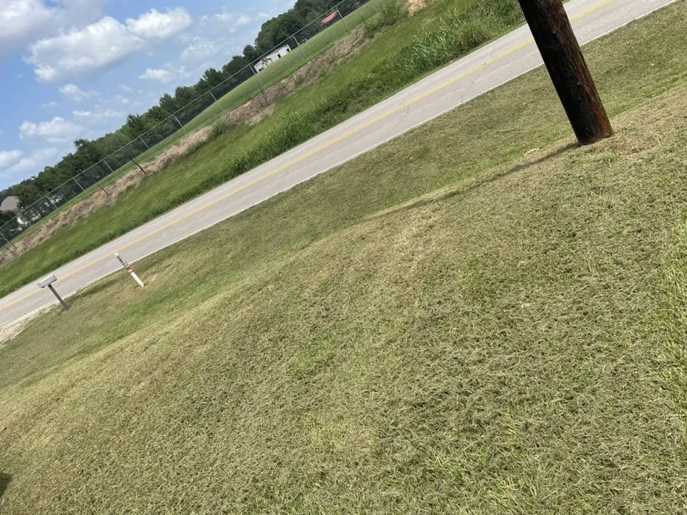 Professional outdoor landscaping in New Albany, MS by Moore’s Lawncare