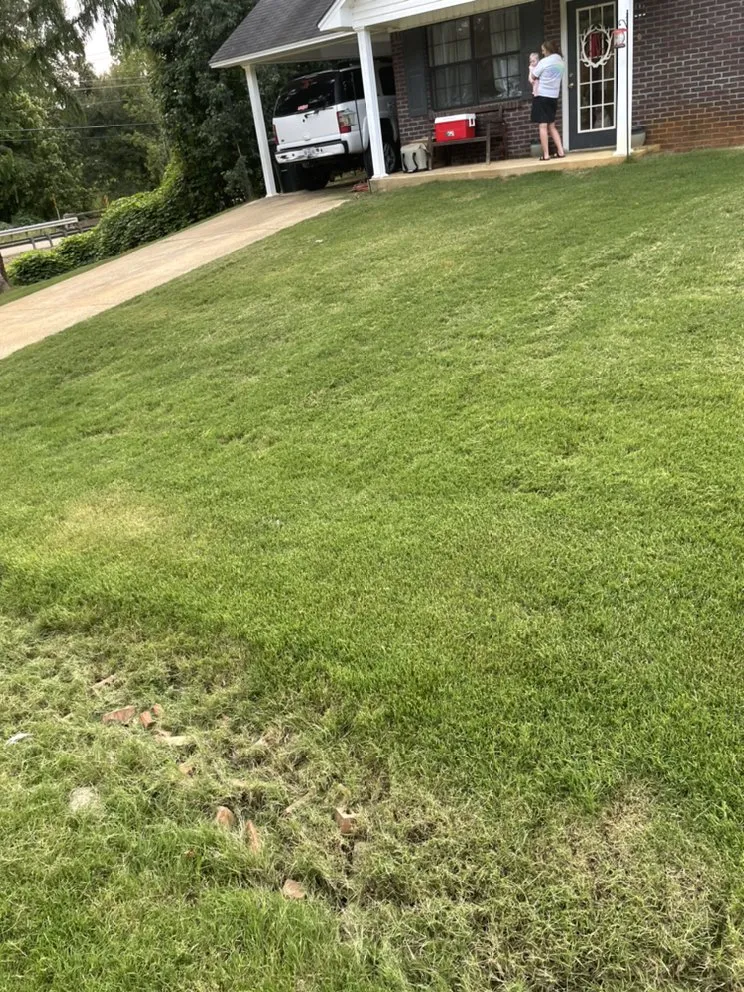 Affordable residential landscaping for beautiful yards in New Albany, MS by Moore’s Lawncare