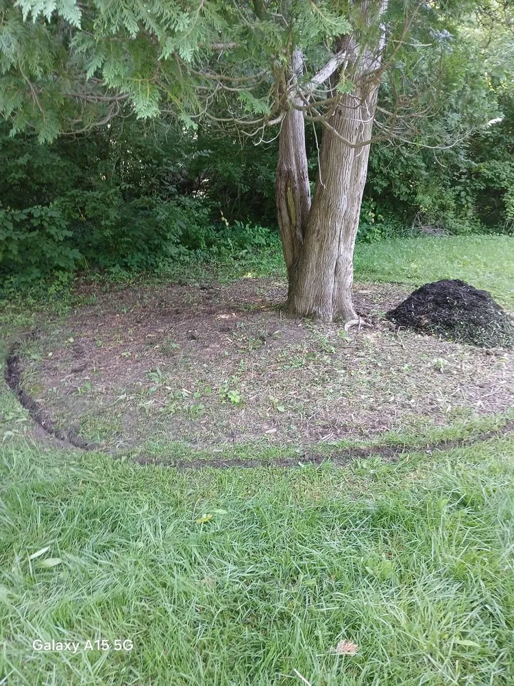 Expert landscape installation in Greenwood, IN by Moore's One Call Estate Management