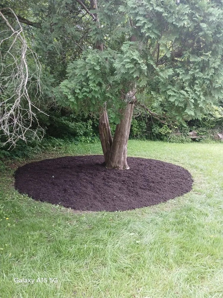 Reliable lawn care service for homes in Greenwood, IN by Moore's One Call Estate Management