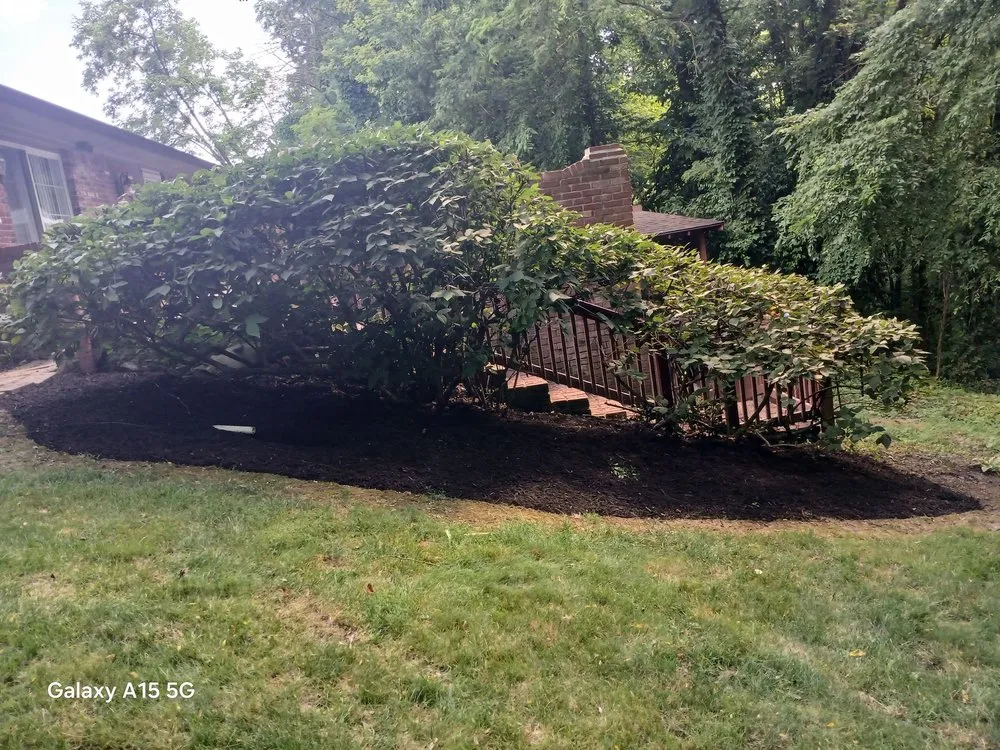 Top-rated yard maintenance experts serving Greenwood, IN - Moore's One Call Estate Management