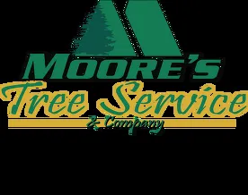 Trusted lawn mowing service for beautiful yards across Clifton Park, NY - Moore's Tree Service & Company