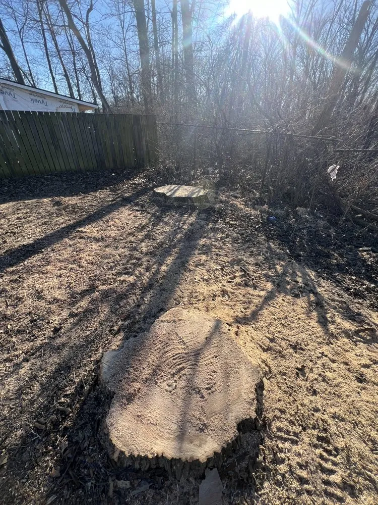 Custom residential landscaping experts serving Indianapolis, IN - Moore's Tree Service