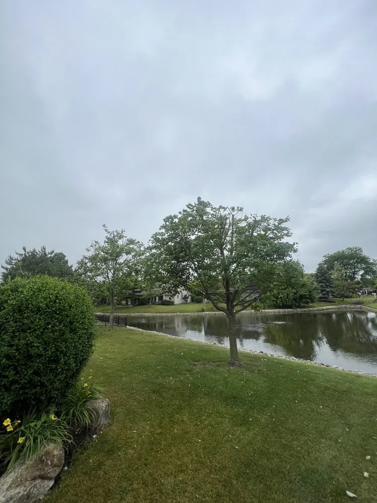 Expert landscape installation for residential properties in Indianapolis, IN by Moore's Tree Service