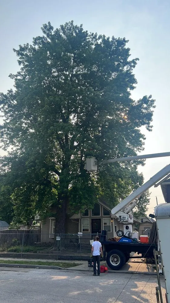 Affordable outdoor landscaping for homes across Indianapolis, IN - Moore's Tree Service