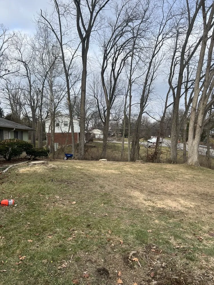 Trusted outdoor landscaping in Indianapolis, IN by Moore's Tree Service