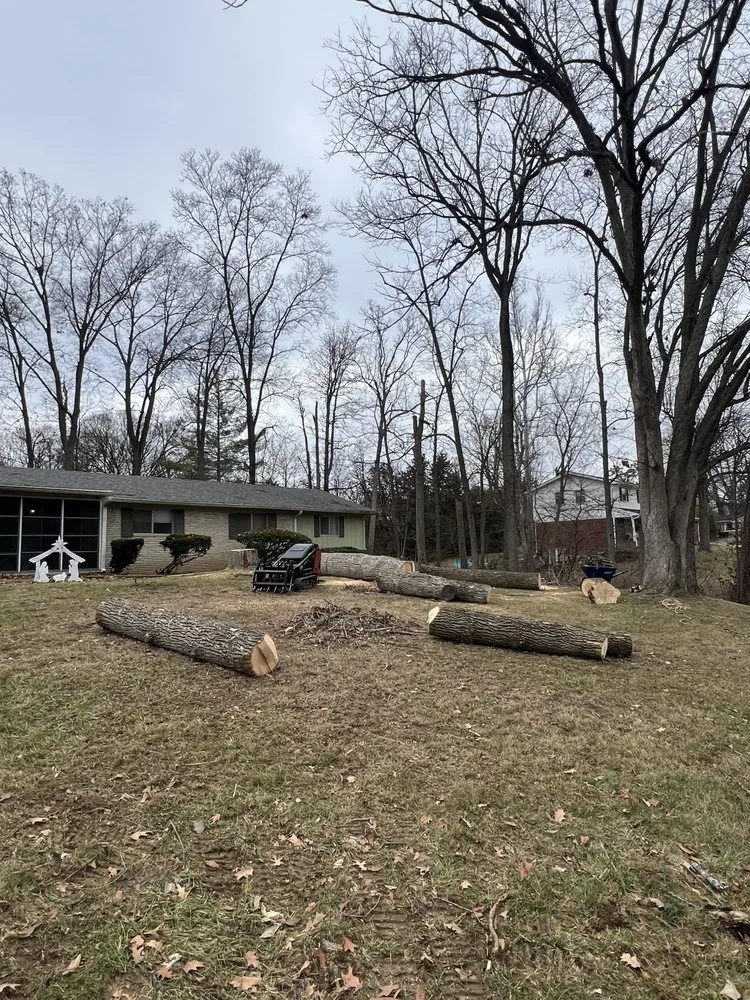 Trusted outdoor landscaping in Indianapolis, IN by Moore's Tree Service