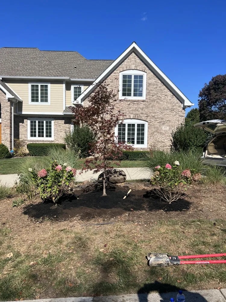 Professional landscape design for year-round maintenance in Indianapolis, IN by Moore's Tree Service