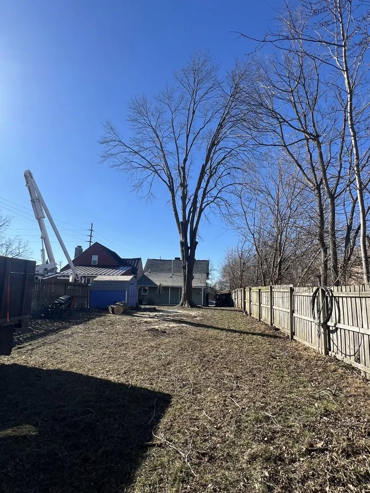 Affordable lawn care service for homes across Indianapolis, IN - Moore's Tree Service