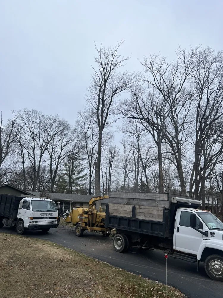 Reliable yard cleanup service in Indianapolis, IN - Moore's Tree Service