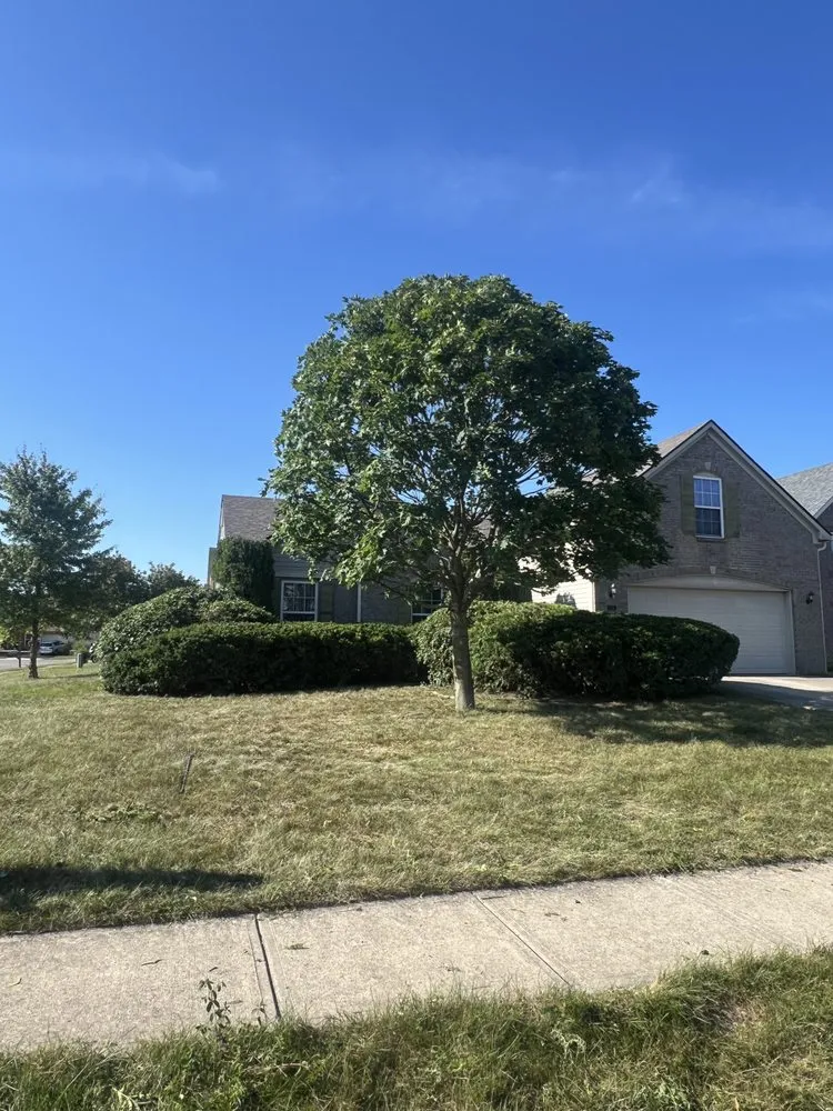 Reliable lawn mowing service in Indianapolis, IN - Moore's Tree Service