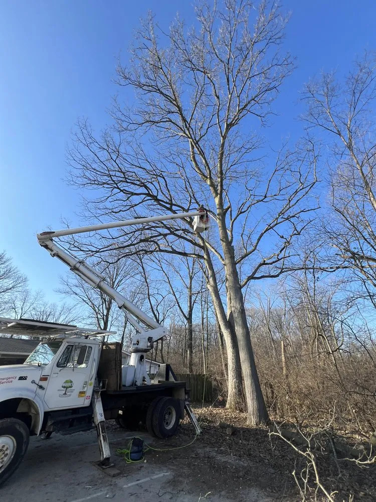 Trusted garden landscaping for beautiful yards across Indianapolis, IN - Moore's Tree Service