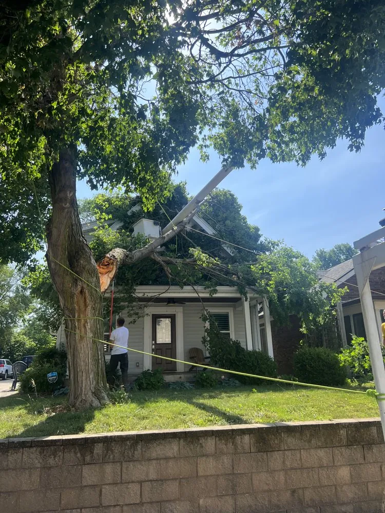 Custom landscaping services with custom design in Indianapolis, IN by Moore's Tree Service