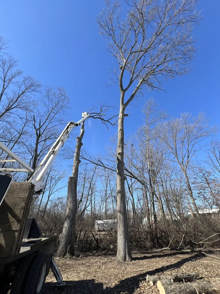 Custom landscape design with custom design across Indianapolis, IN - Moore's Tree Service