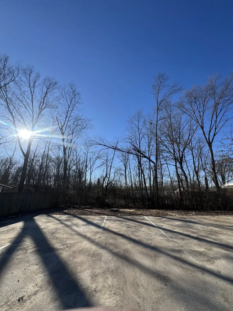 Top-rated lawn care service for outdoor upgrades across Indianapolis, IN - Moore's Tree Service