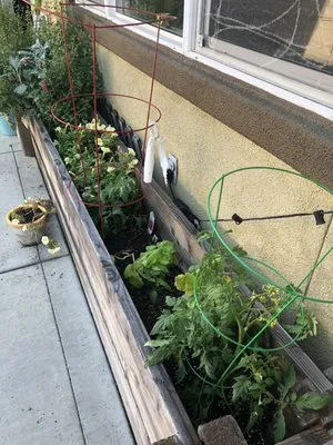 Moore's Western Nursery