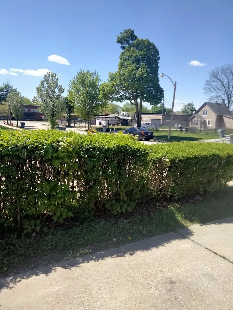 Professional lawn mowing service for homes across Milwaukee, WI - Moorish Express Line Services