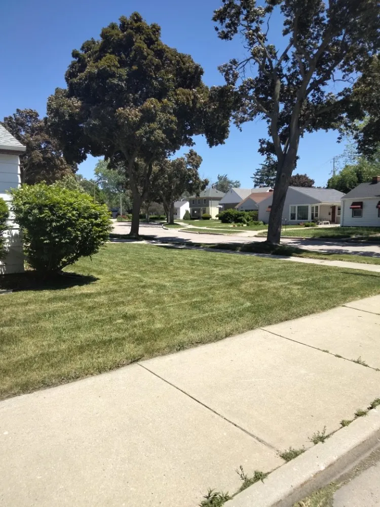 Custom yard cleanup service experts serving Milwaukee, WI - Moorish Express Line Services