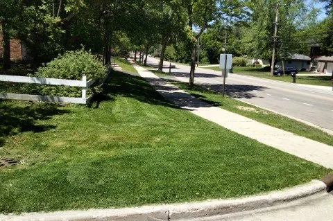 Top-rated residential landscaping for beautiful yards in Milwaukee, WI by Moorish Express Line Services