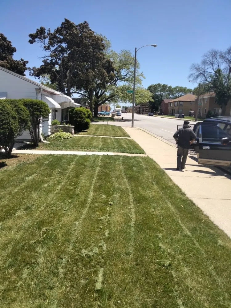 Trusted landscape installation in Milwaukee, WI - Moorish Express Line Services