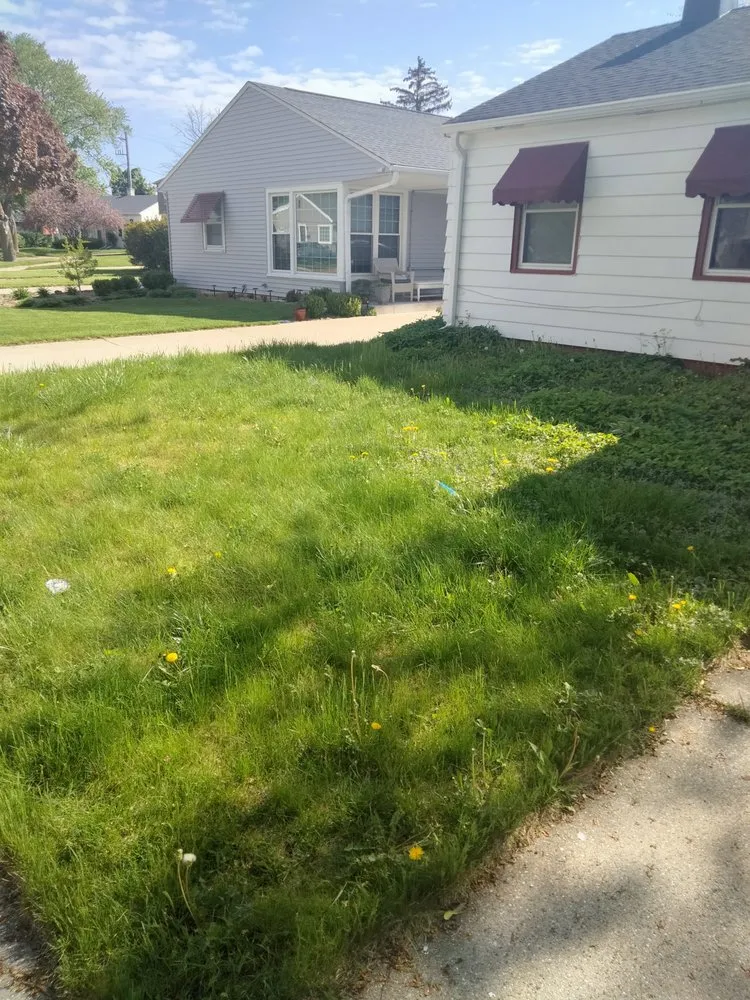 Expert yard maintenance with custom design across Milwaukee, WI - Moorish Express Line Services