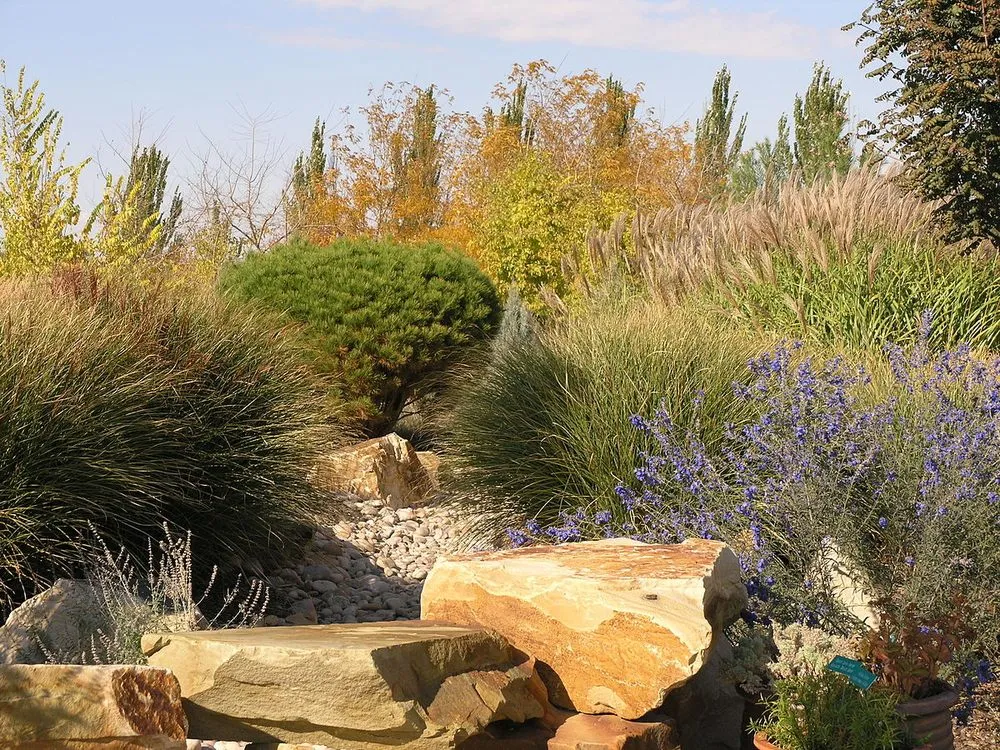 Professional outdoor landscaping in Templeton, CA by Moose Lawn & Landscape