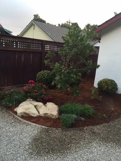 Expert residential landscaping for beautiful yards across Templeton, CA - Moose Lawn & Landscape