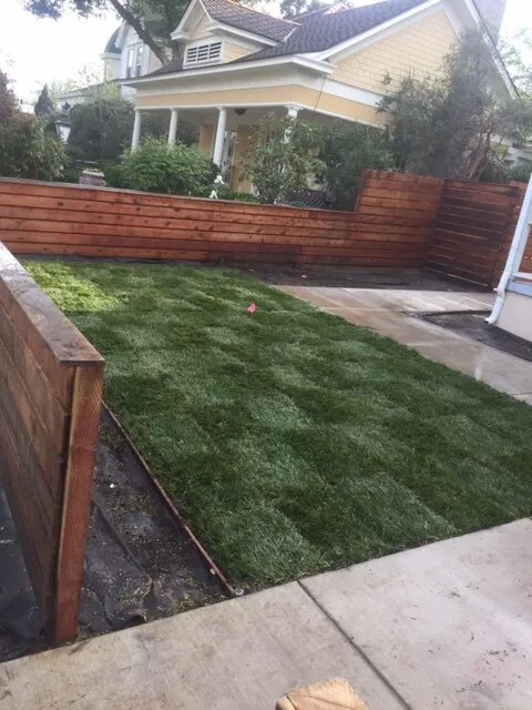 Reliable landscape installation for residential properties across Templeton, CA - Moose Lawn & Landscape