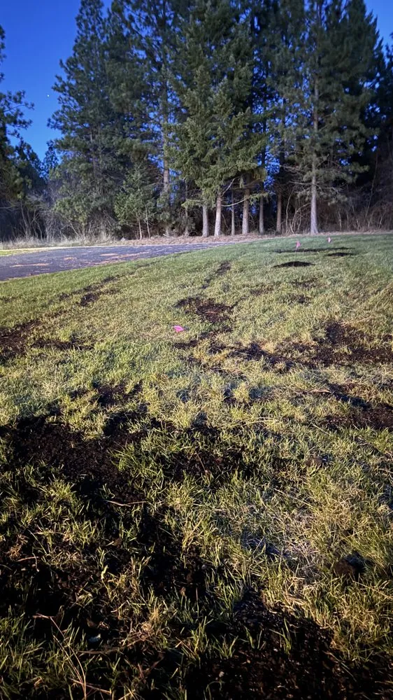 Local lawn mowing service experts serving Post Falls, ID - Moose’s Lawn Maintence