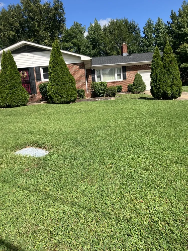 Expert lawn care service in Portsmouth, VA by Moose's Lawn Service