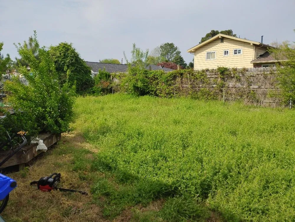 Expert garden landscaping in Portsmouth, VA - Moose's Lawn Service